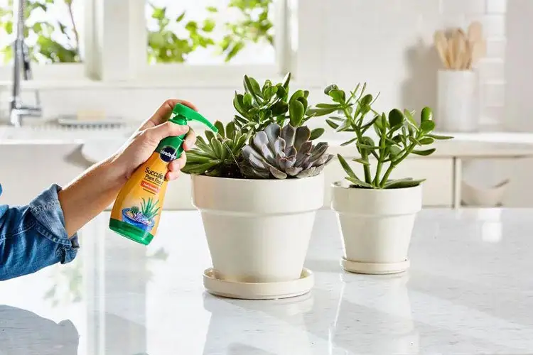 کود مایع چیست؟