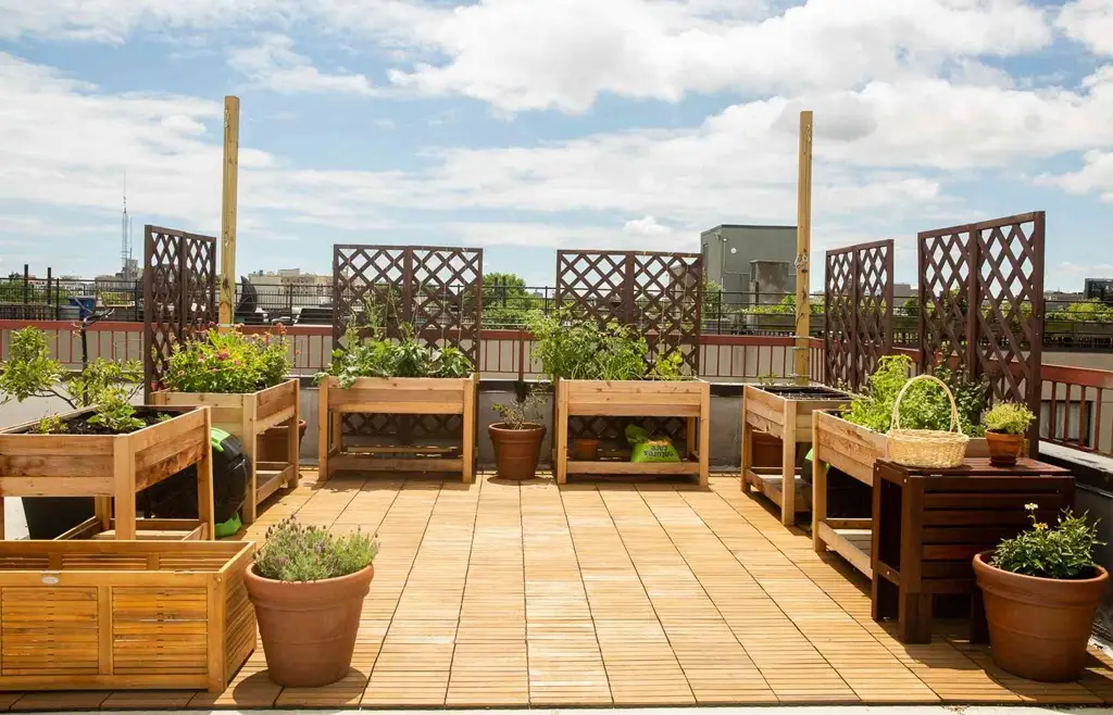 نکات مهم در ساخت روف گاردن