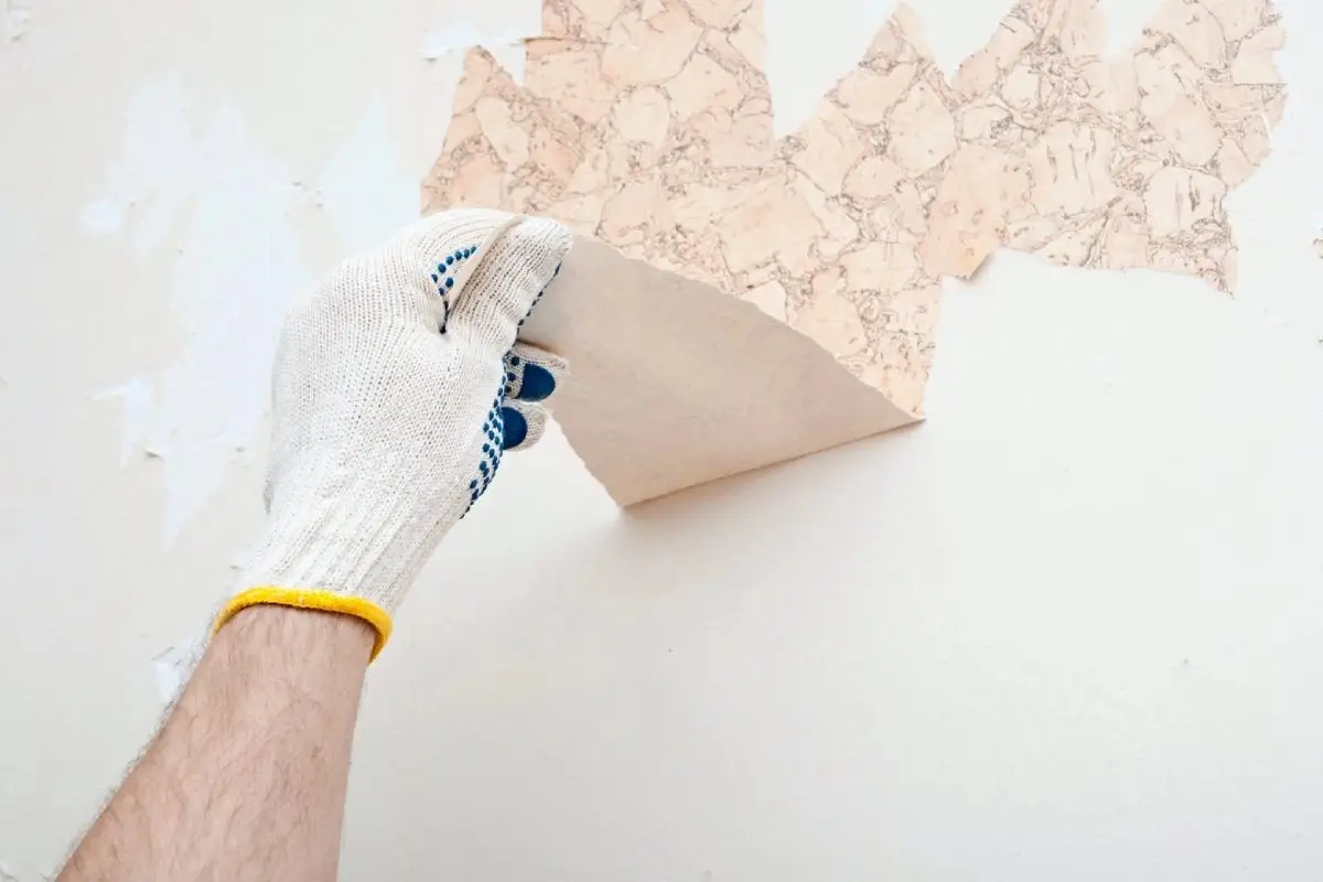 چگونه کاغذ دیواری را بکنیم؟ با روشی اصولی و کارآمد