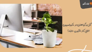 آیا گل و گیاهان در دکوراسیون اتاق کار تأثیری دارند؟