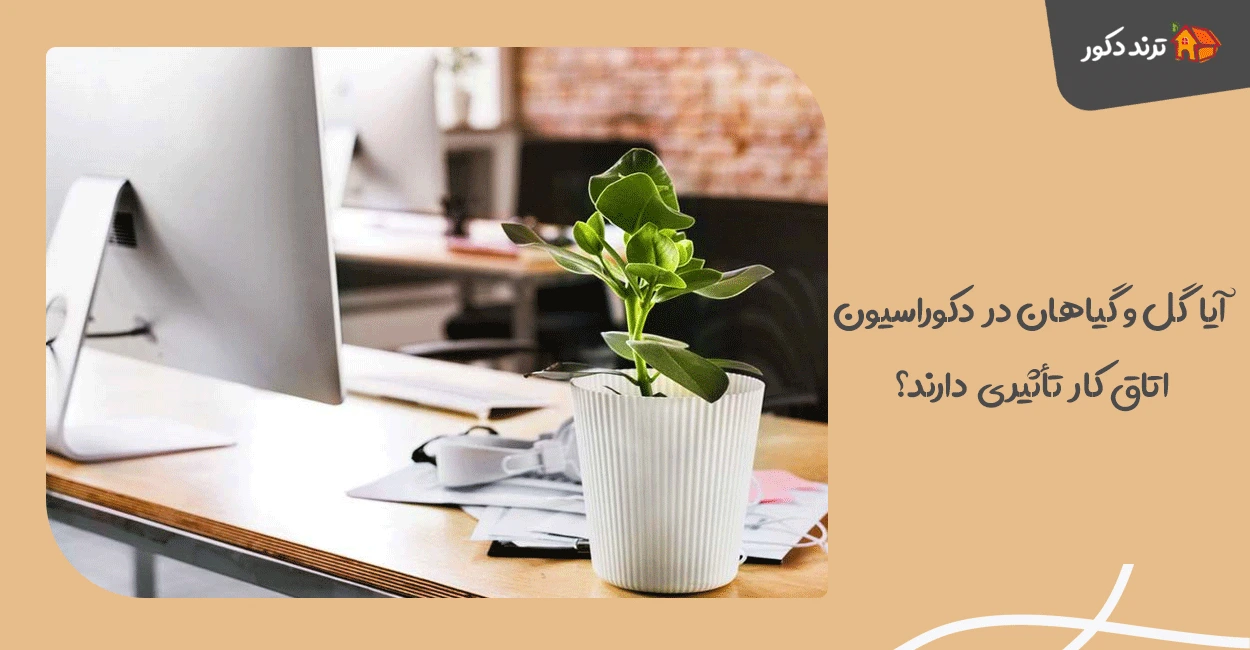 آیا گل و گیاهان در دکوراسیون اتاق کار تأثیری دارند؟