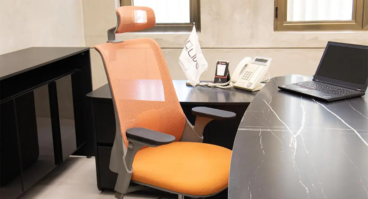 هر آنچه باید درباره انتخاب صندلی اداری ایدهآل بدانیم 1 هر آنچه باید درباره انتخاب صندلی اداری ایدهآل بدانیم