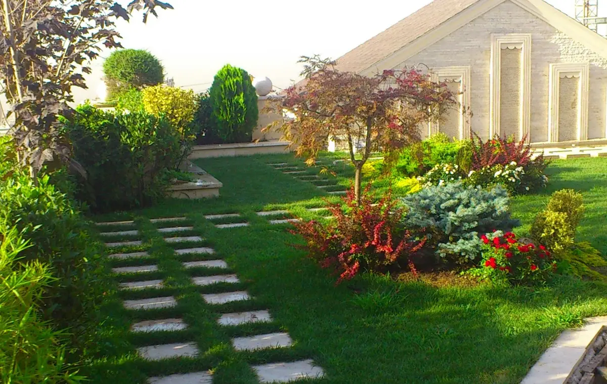 نکات مهم در نگهداری گیاهان فضای سبز ویلا