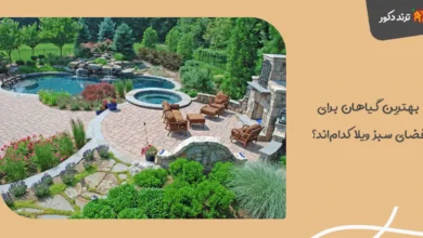 بهترین گیاهان برای فضای سبز ویلا کدام‌اند؟