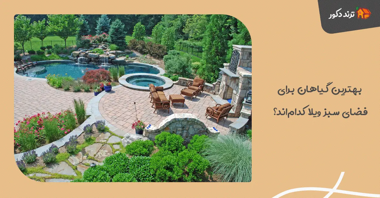 بهترین گیاهان برای فضای سبز ویلا کدام‌اند؟