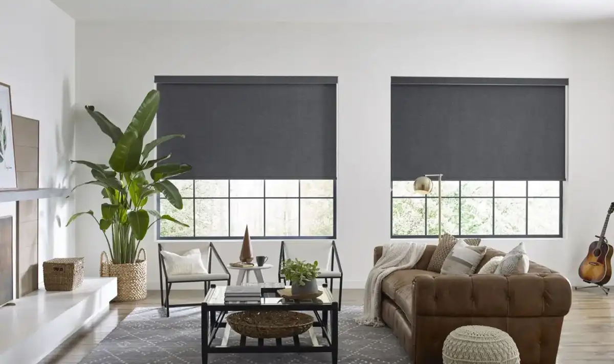 پرده شید چیست؟