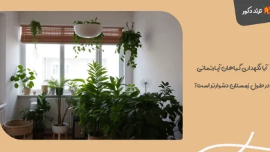آیا نگهداری گیاهان آپارتمانی در طول زمستان دشوارتر است؟ 27 آیا نگهداری گیاهان آپارتمانی در طول زمستان دشوارتر است؟