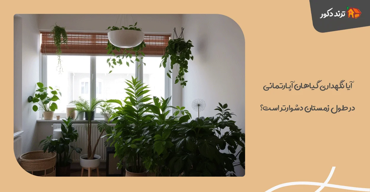 آیا نگهداری گیاهان آپارتمانی در طول زمستان دشوارتر است؟