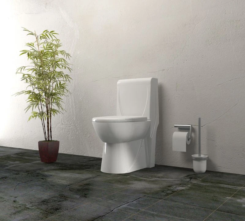 توالت فرنگی مروارید بهتره یا گلسار