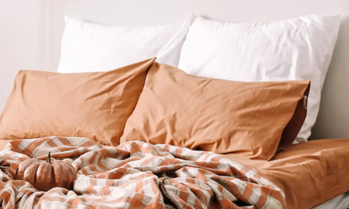 هر چند وقت یکبار باید بالش ها را عوض کنیم؟ راهنمای کامل تعویض بالش! 3 زمان تعویض انواع بالش بر اساس جنس و نوع آنها