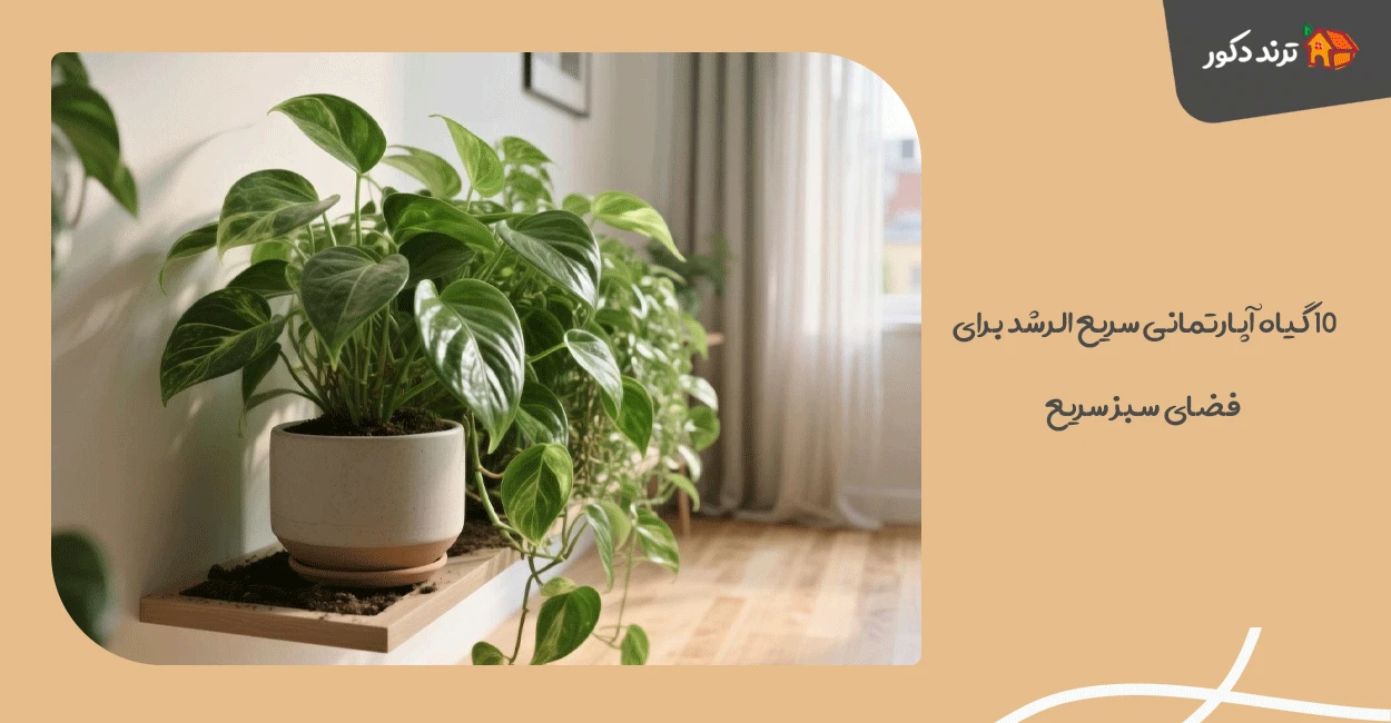 ۱۰ گیاه آپارتمانی سریع الرشد برای فضای سبز سریع