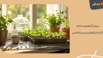 پرورش گیاهان در خانه: از آرزو تا باغچه ی سرسبز شخصی 1 پرورش گیاهان در خانه: از آرزو تا باغچه ی سرسبز شخصی