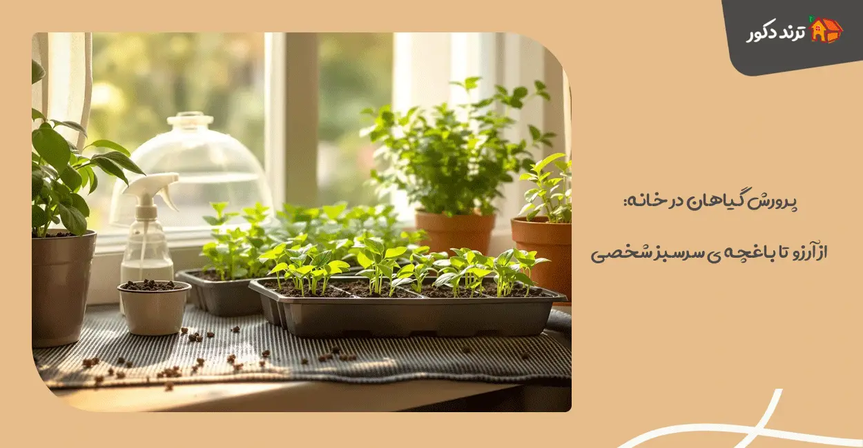 پرورش گیاهان در خانه: از آرزو تا باغچه‌ ی سرسبز شخصی