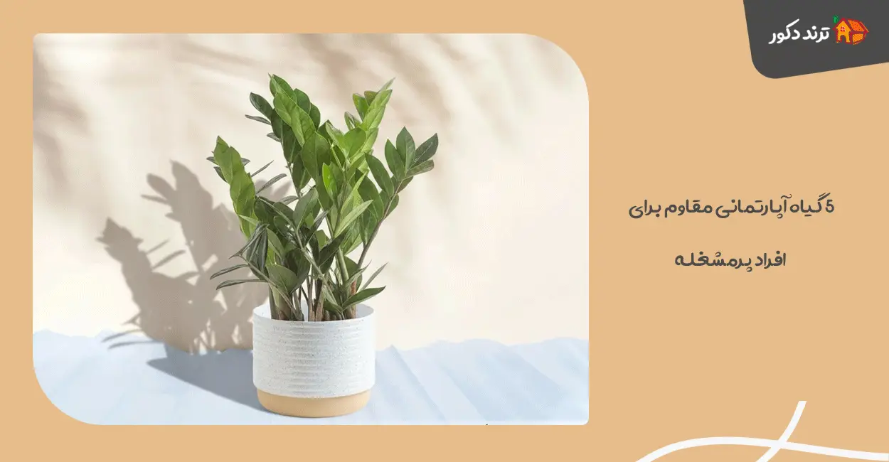 ۵ گیاه آپارتمانی مقاوم برای افراد پرمشغله؛ بله، شما هم می‌ توانید!